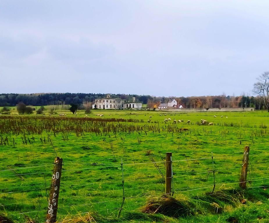 Galway Glamping Otel Tuam Dış mekan fotoğraf